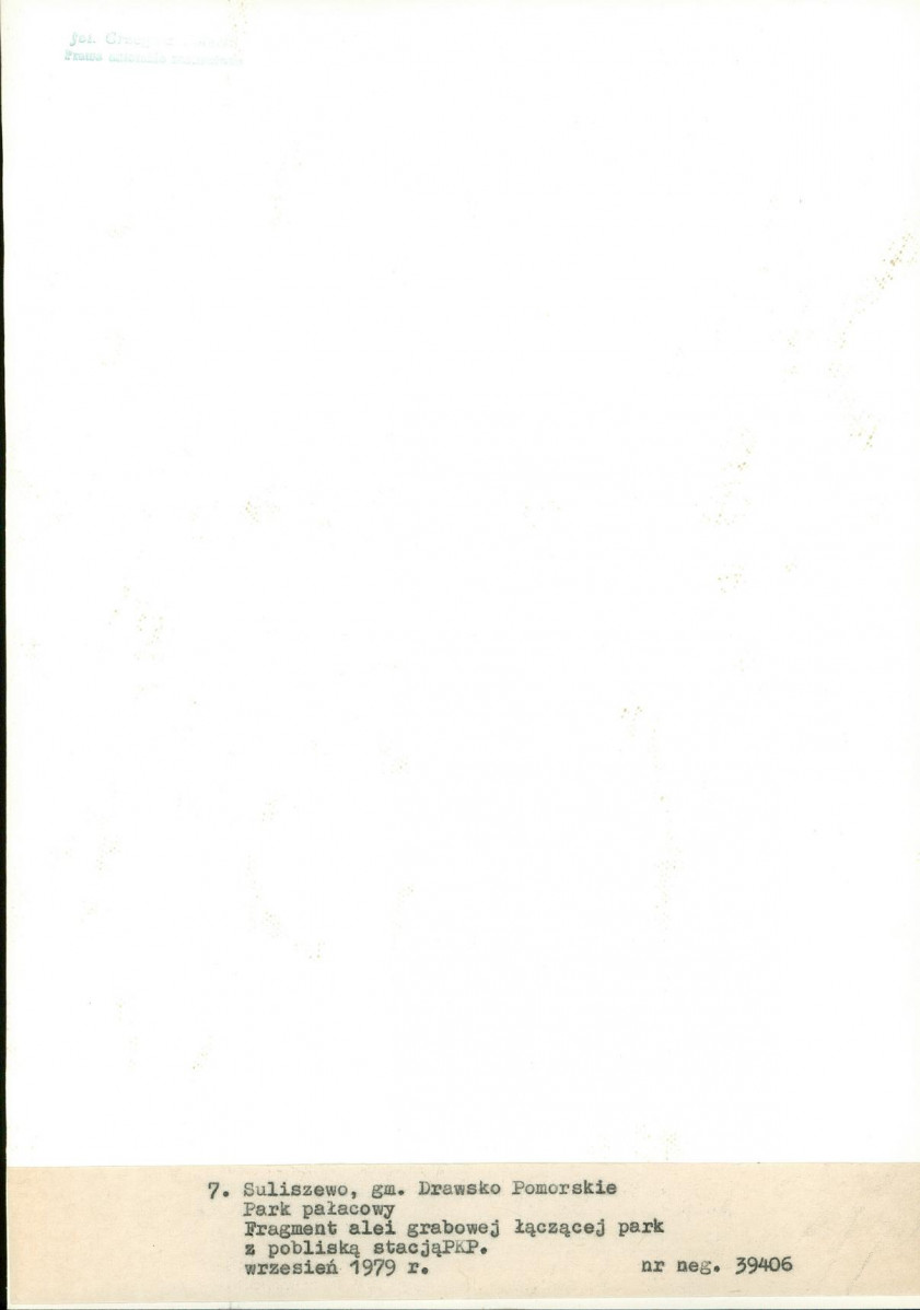 Ewidencja parkowa, skan nr 36
