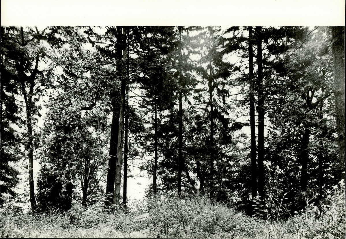 Ewidencja parkowa, skan nr 37
