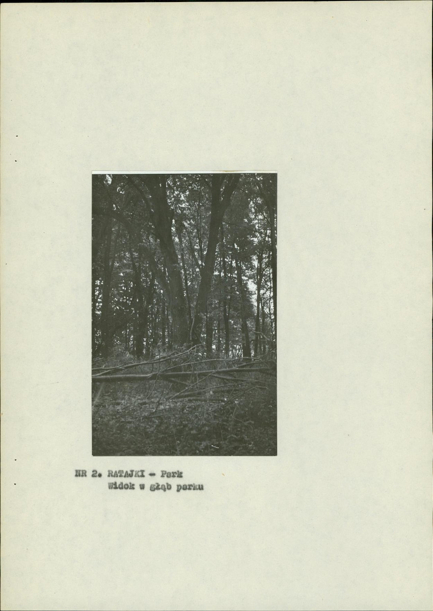 Ewidencja parkowa, skan nr 11
