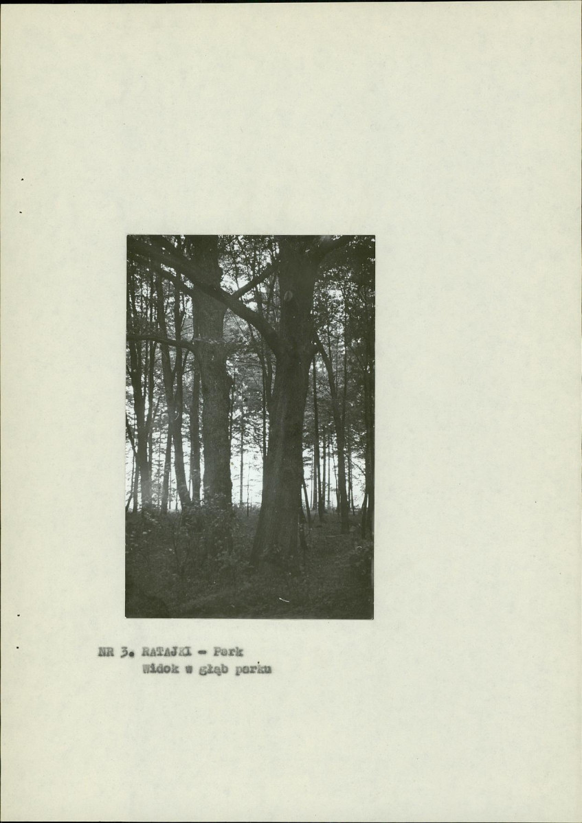 Ewidencja parkowa, skan nr 12
