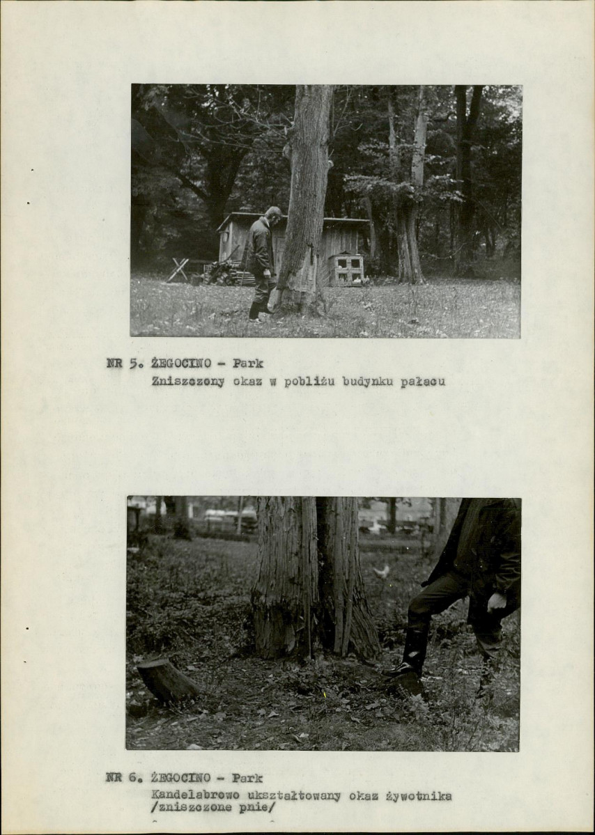 EP - Ewidencja parkowa, skan nr 15