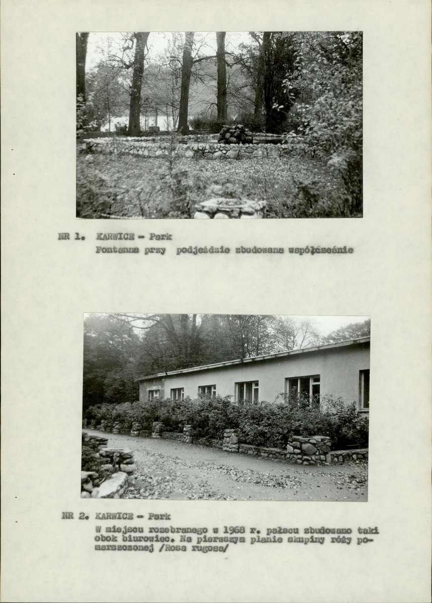 Ewidencja parkowa, skan nr 10
