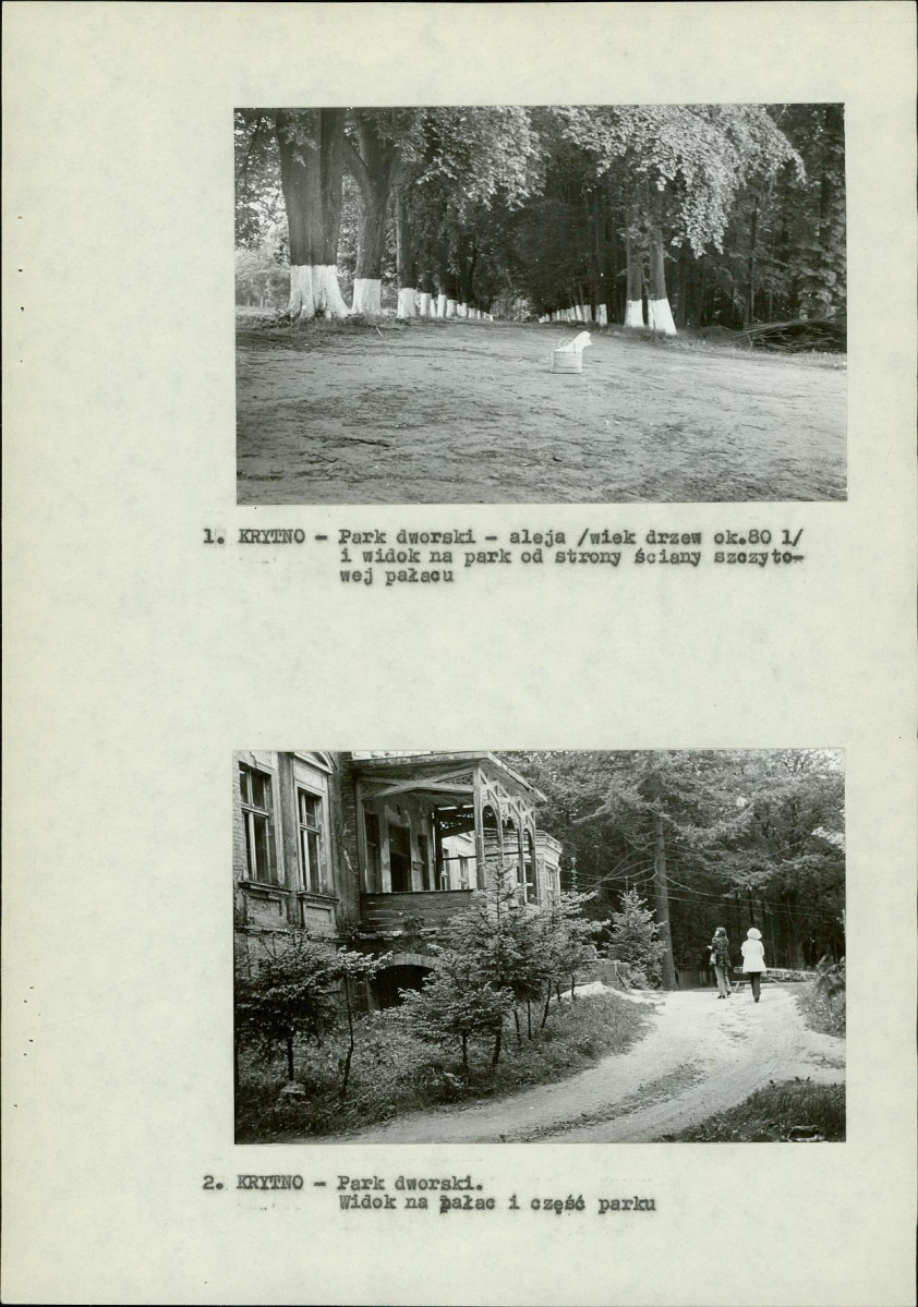 Ewidencja parkowa, skan nr 11