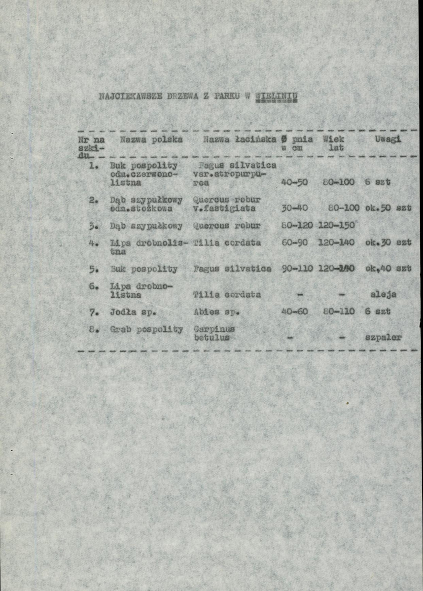 Ewidencja parkowa, skan nr 13