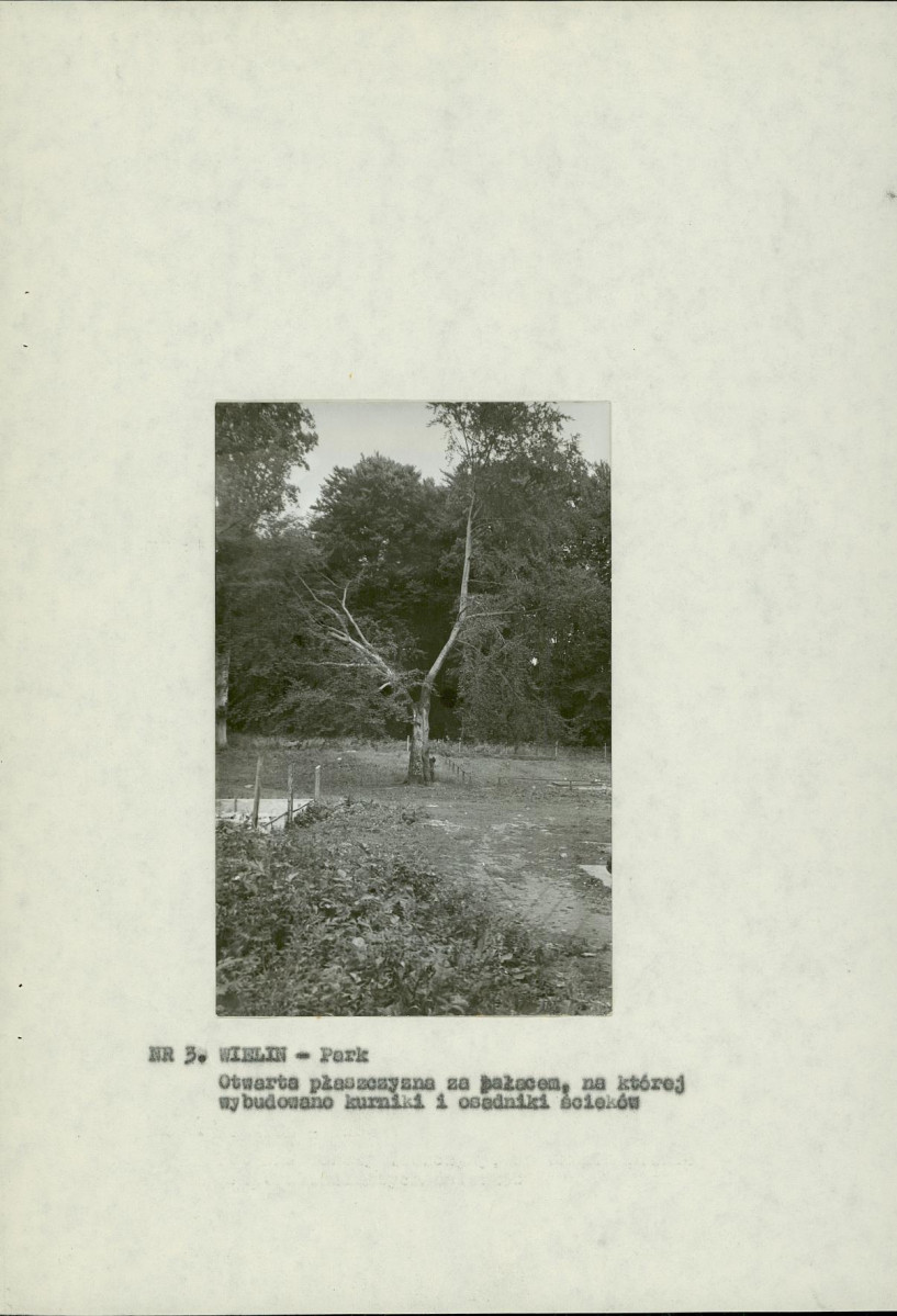 Ewidencja parkowa, skan nr 15