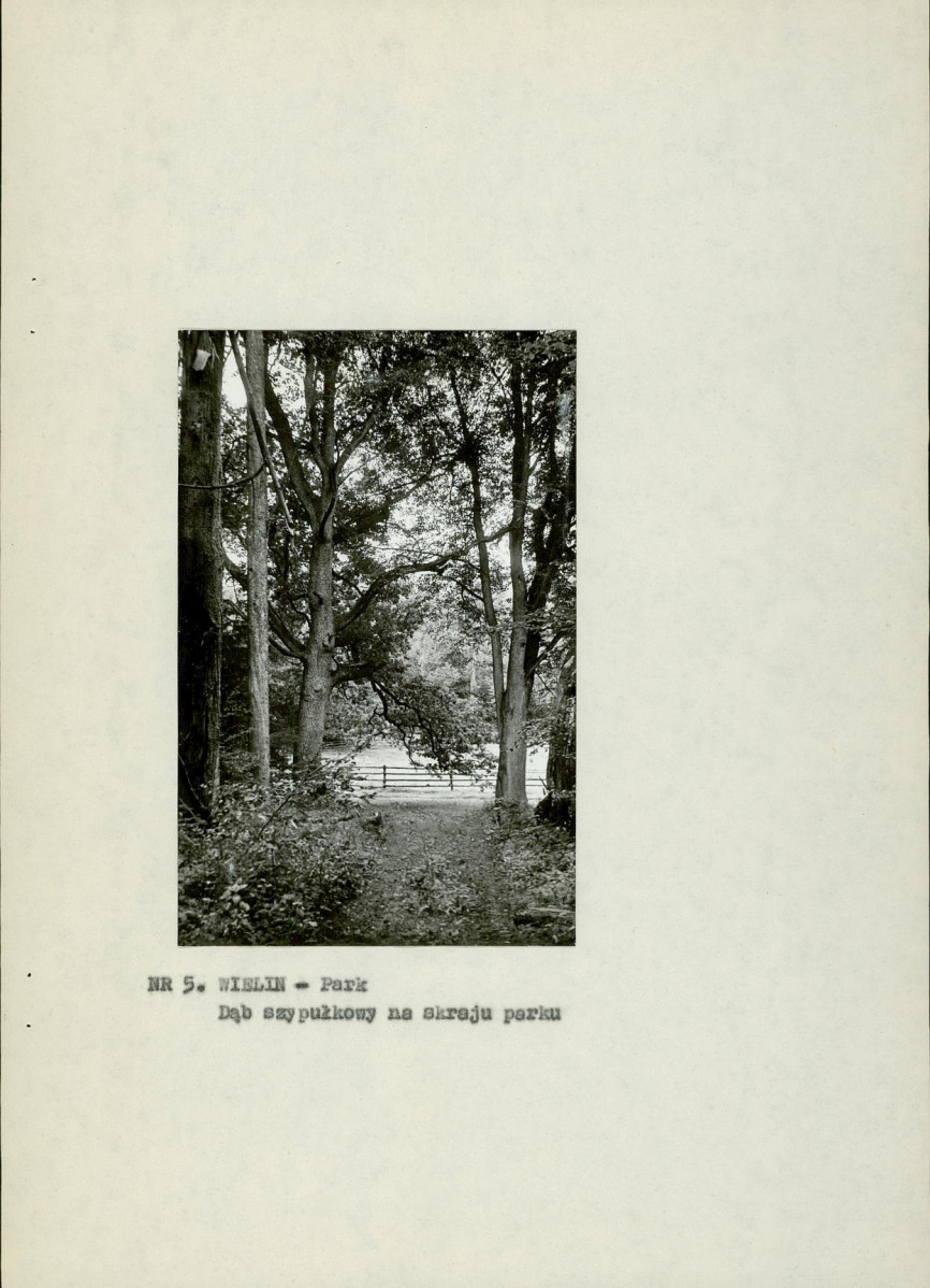 Ewidencja parkowa, skan nr 17