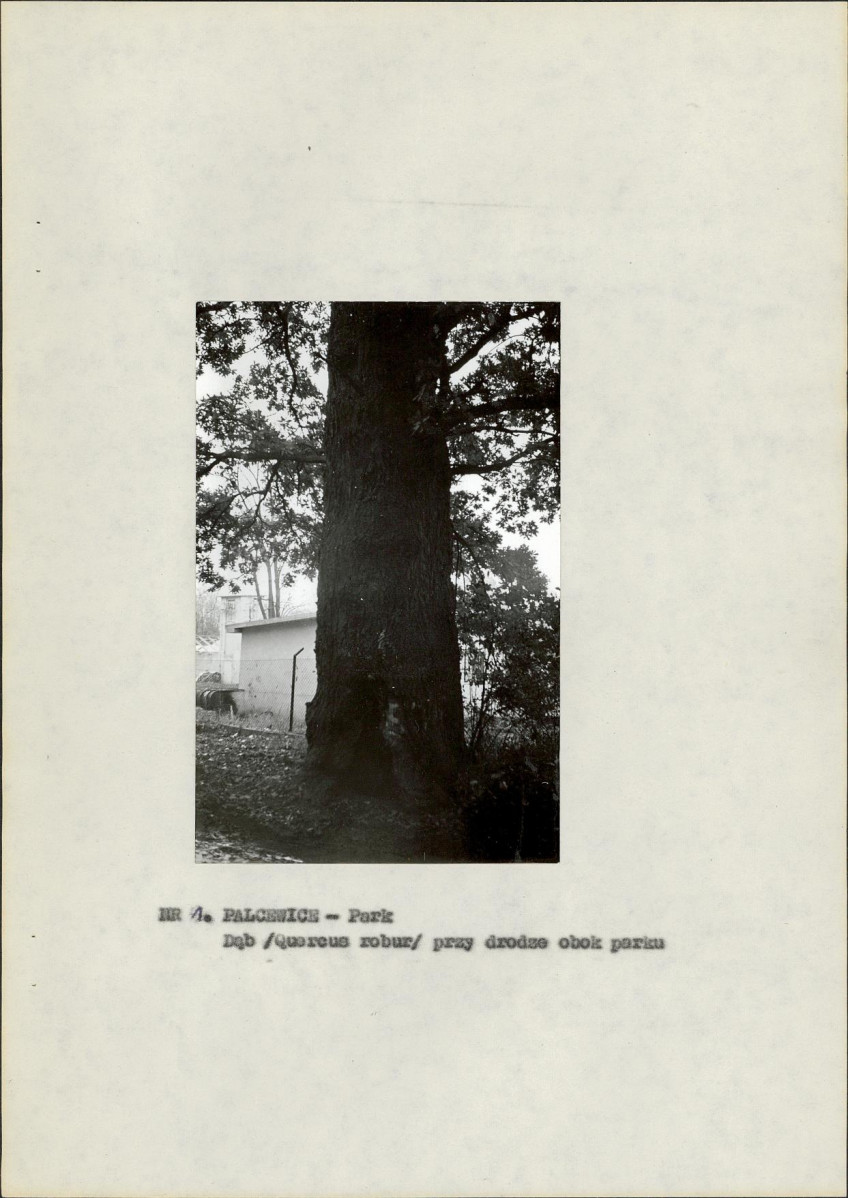 EP - Ewidencja parkowa, skan nr 12