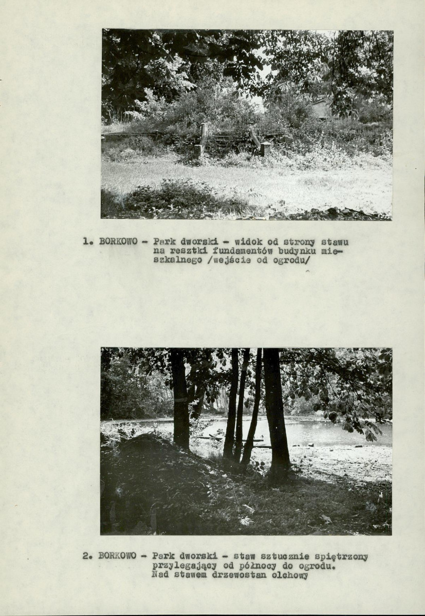 Ewidencja parkowa, skan nr 15