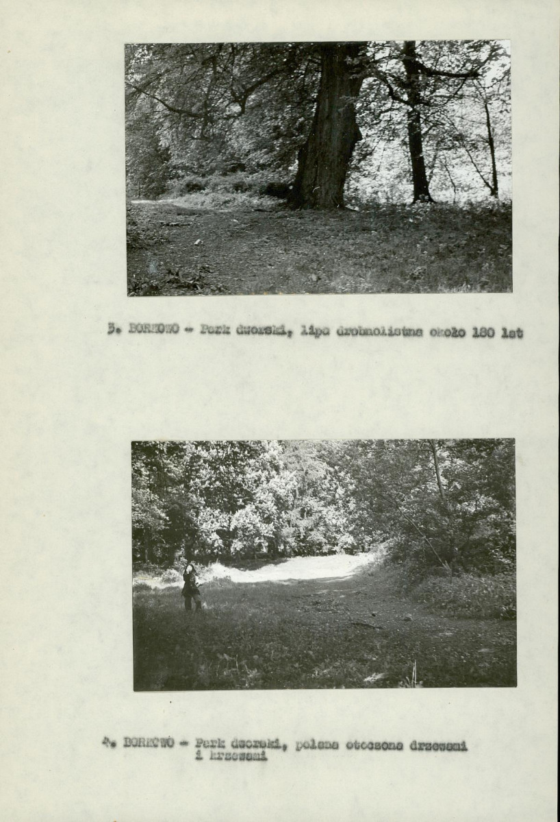 Ewidencja parkowa, skan nr 16