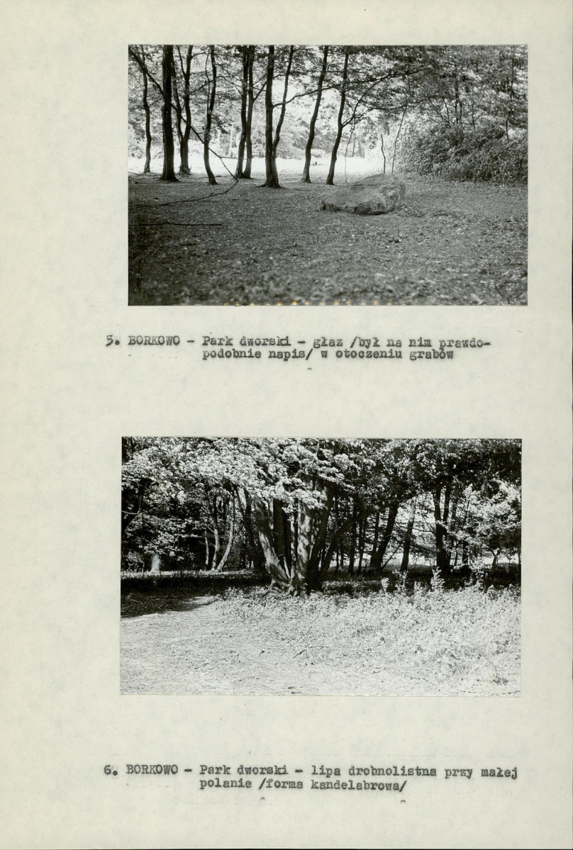 Ewidencja parkowa, skan nr 17