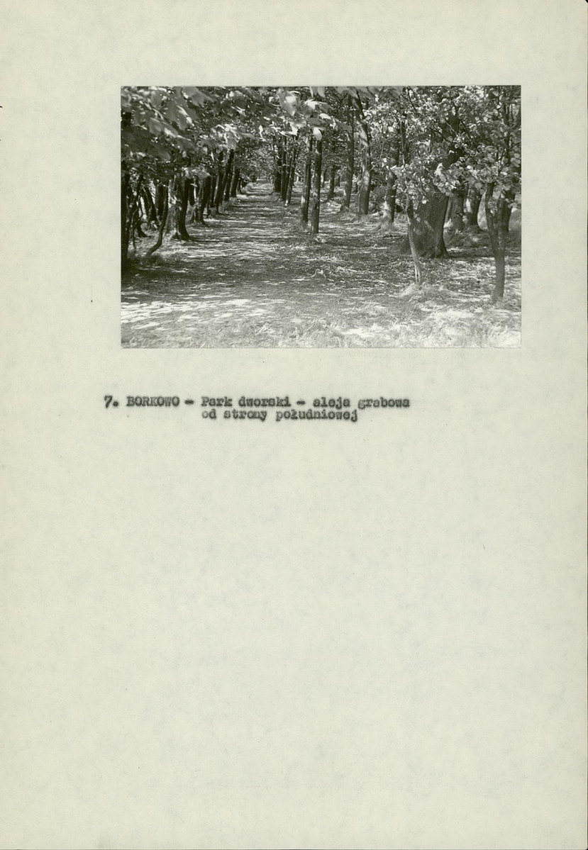 Ewidencja parkowa, skan nr 18