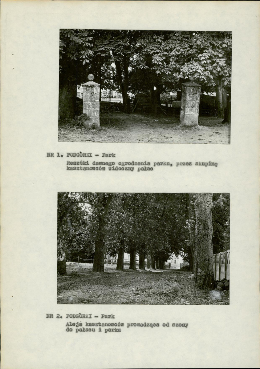 Ewidencja parkowa, skan nr 13
