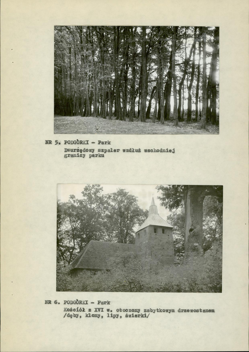 Ewidencja parkowa, skan nr 15