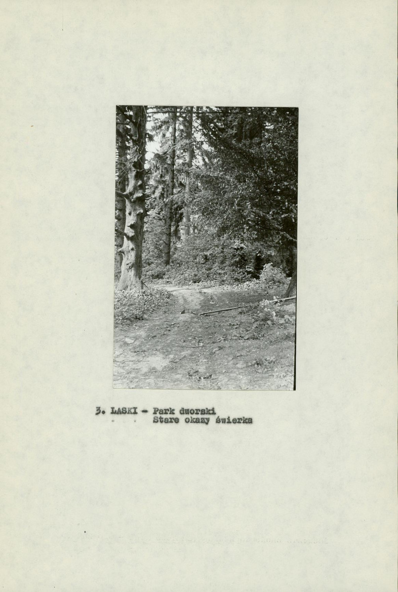 EP - Ewidencja parkowa, skan nr 14