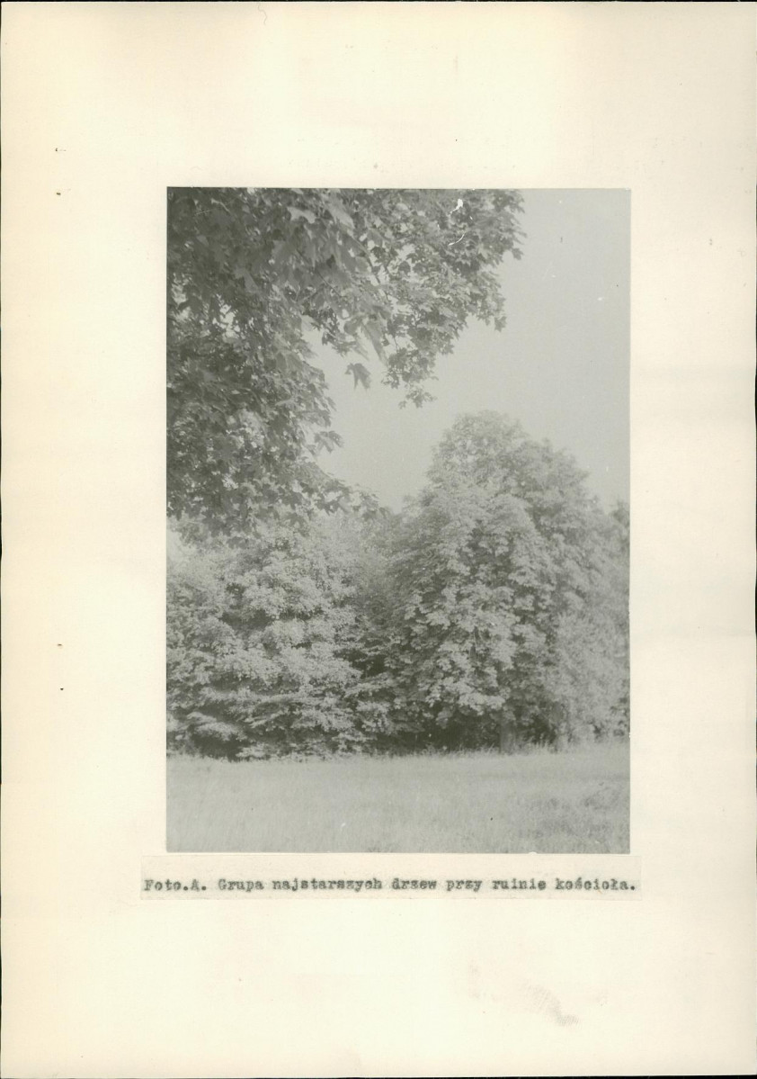 EP - Ewidencja parkowa, skan nr 13