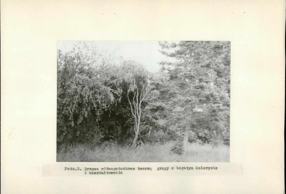 EP - Ewidencja parkowa, skan nr 14