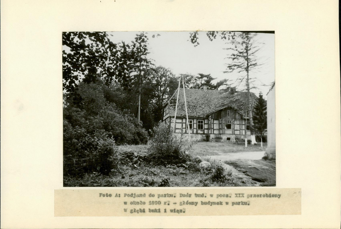 Ewidencja parkowa, skan nr 11