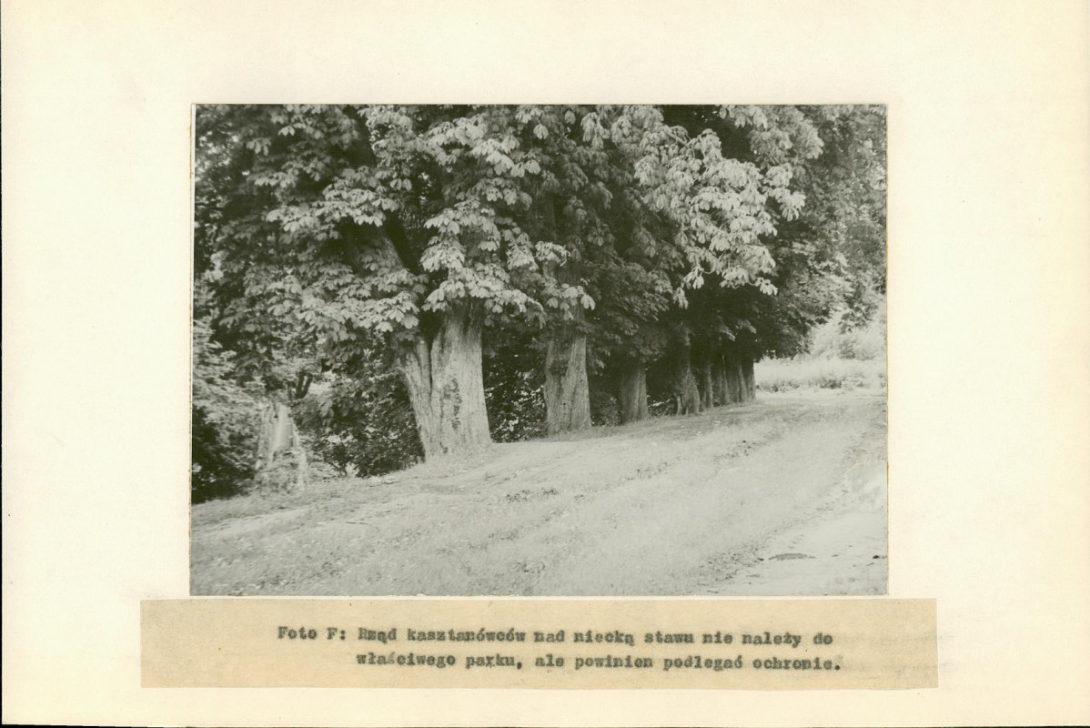 Ewidencja parkowa, skan nr 16