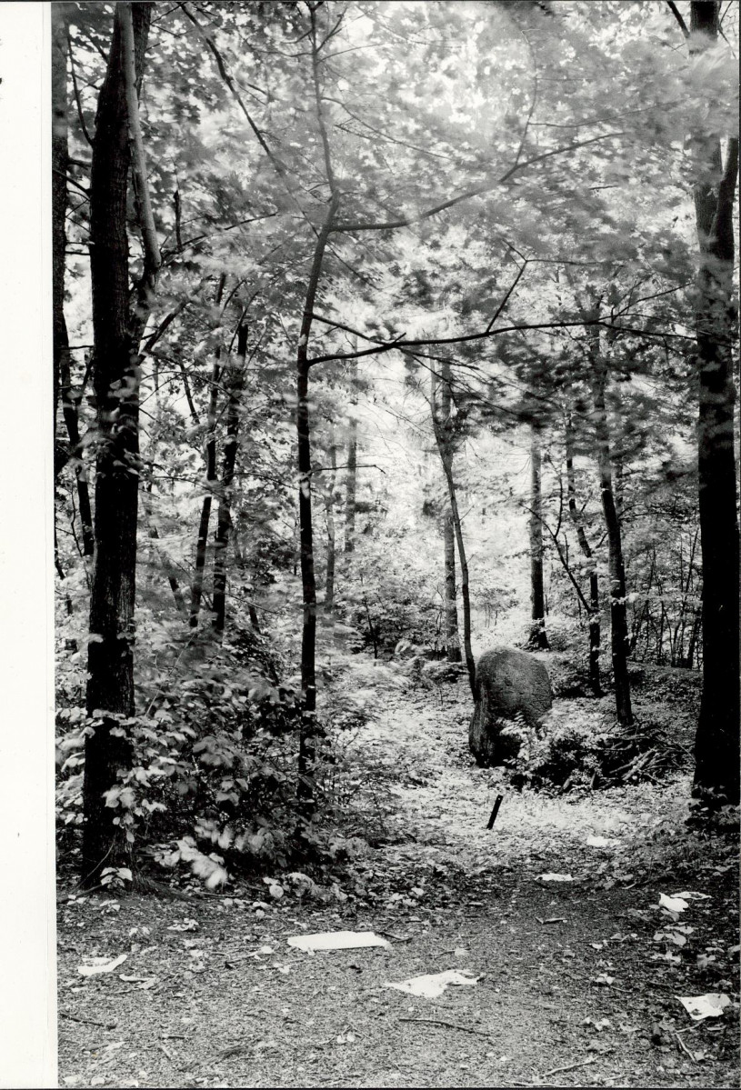 Ewidencja parkowa, skan nr 17