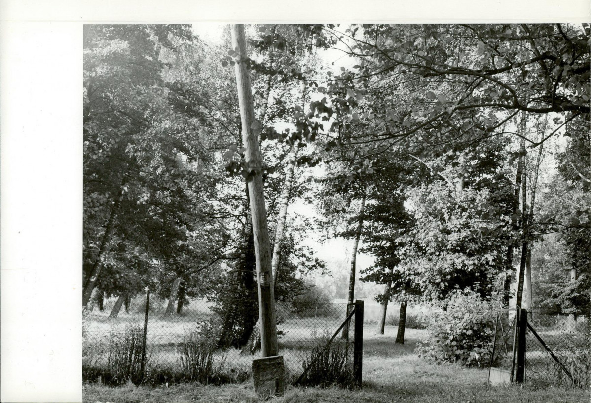 Ewidencja parkowa, skan nr 9