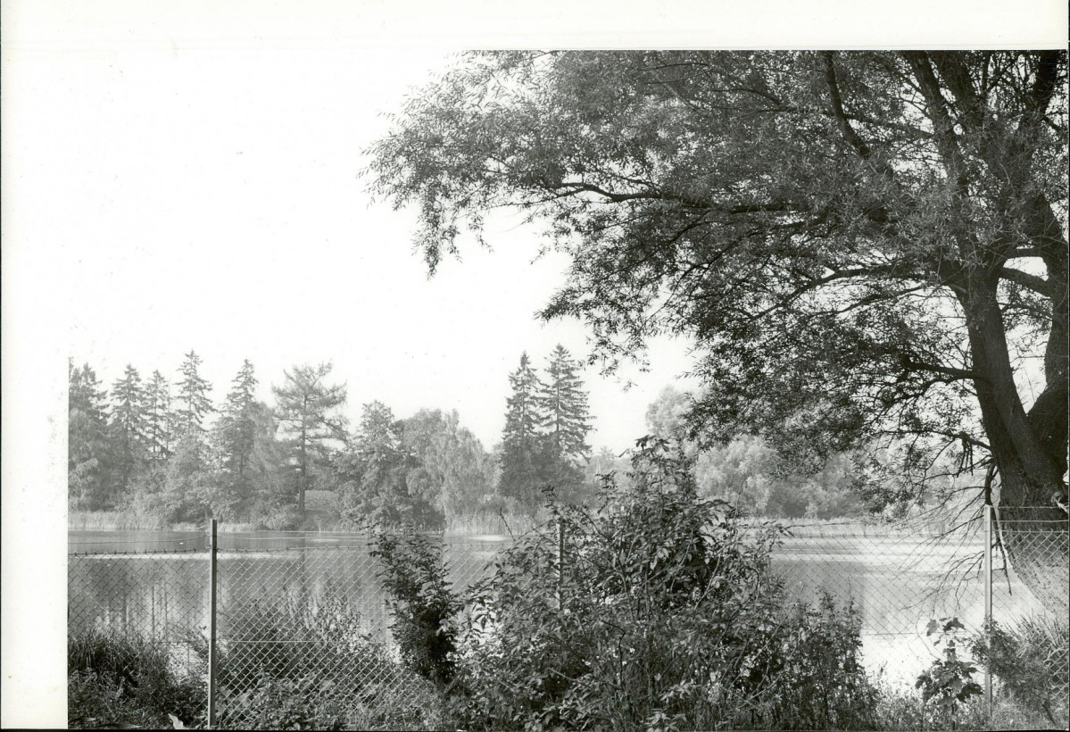 Ewidencja parkowa, skan nr 11