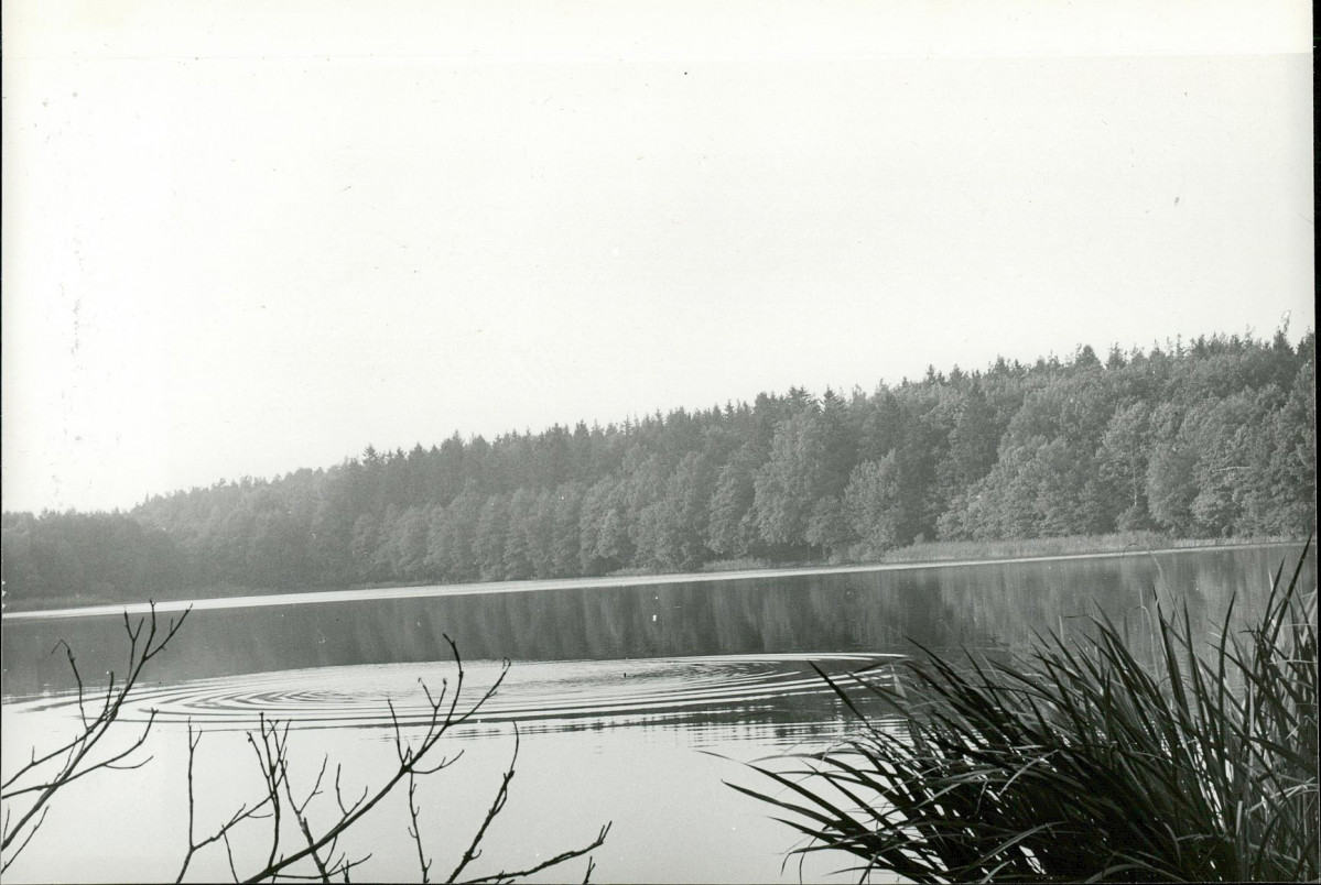Ewidencja parkowa, skan nr 15