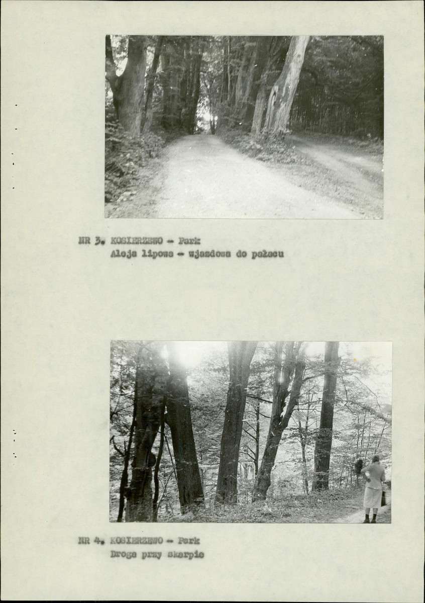 Ewidencja parkowa, skan nr 12