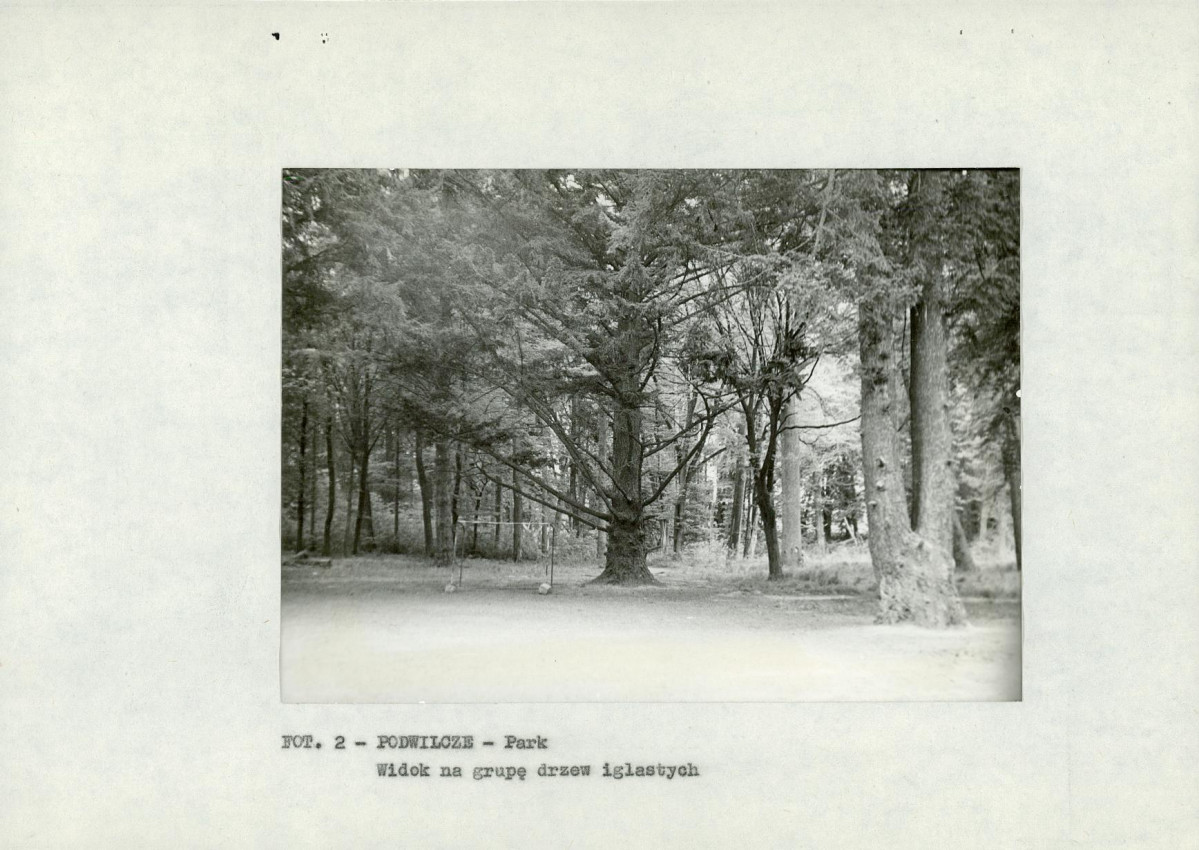 Ewidencja parkowa, skan nr 11