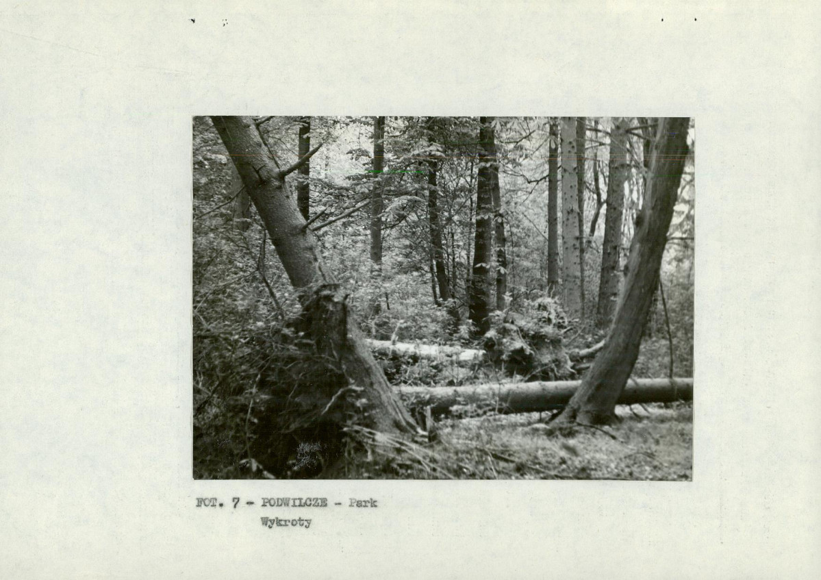 Ewidencja parkowa, skan nr 16