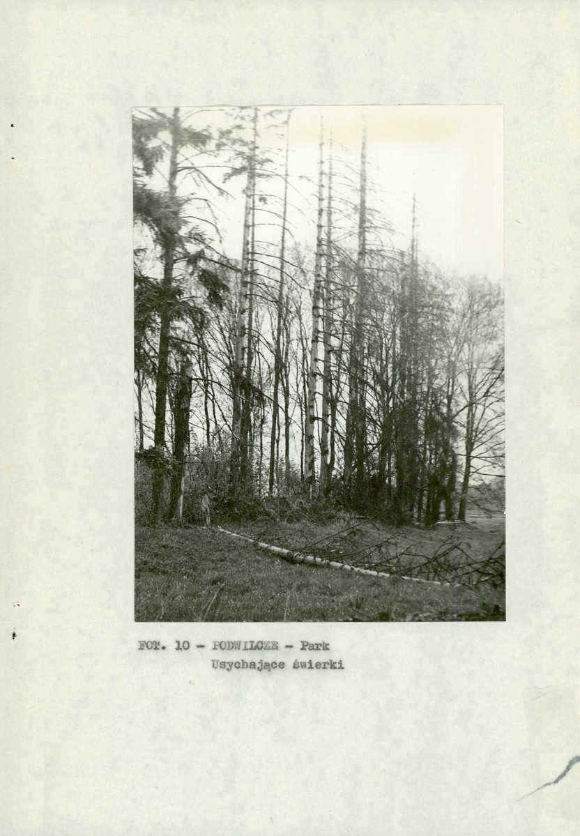 Ewidencja parkowa, skan nr 19