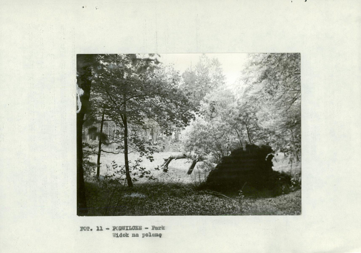 Ewidencja parkowa, skan nr 20