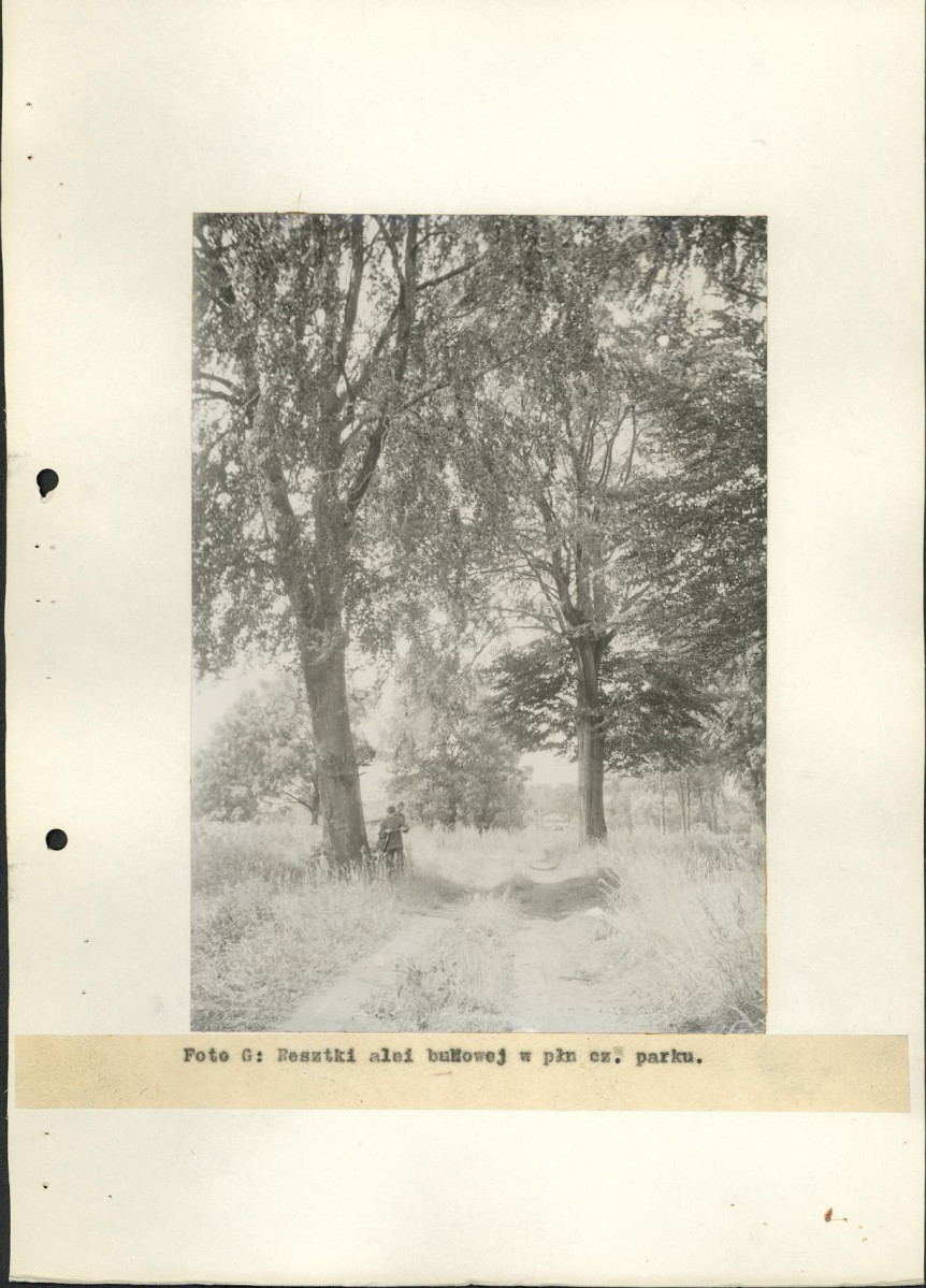 Ewidencja parkowa, skan nr 20