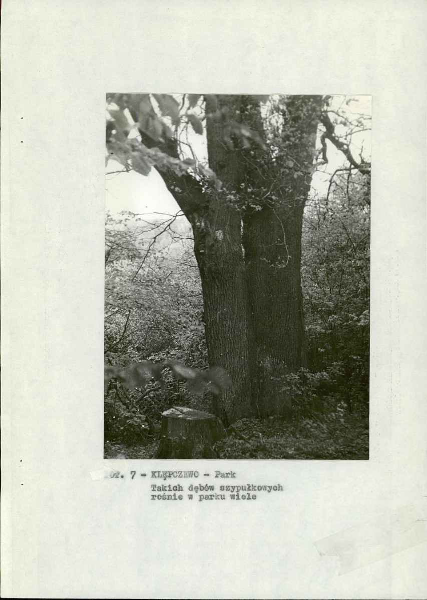 EP - Ewidencja parkowa, skan nr 15