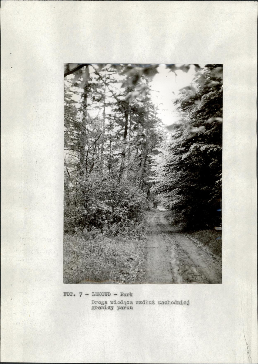 EP - Ewidencja parkowa, skan nr 17