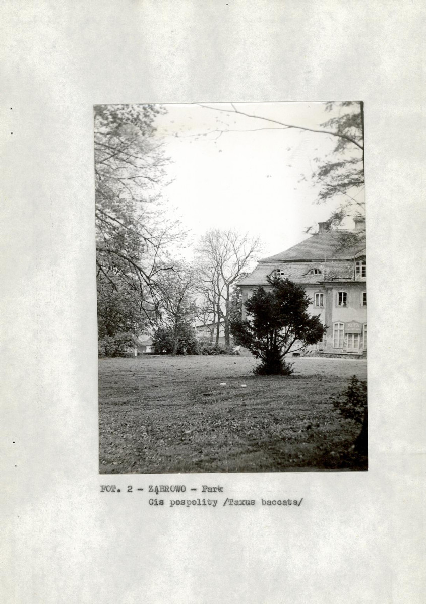 EP - Ewidencja parkowa, skan nr 11