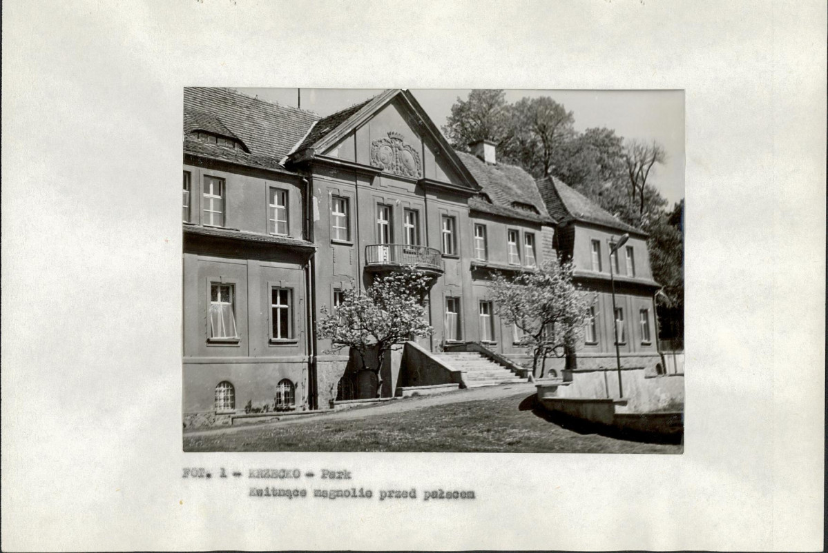 EP - Ewidencja parkowa, skan nr 11