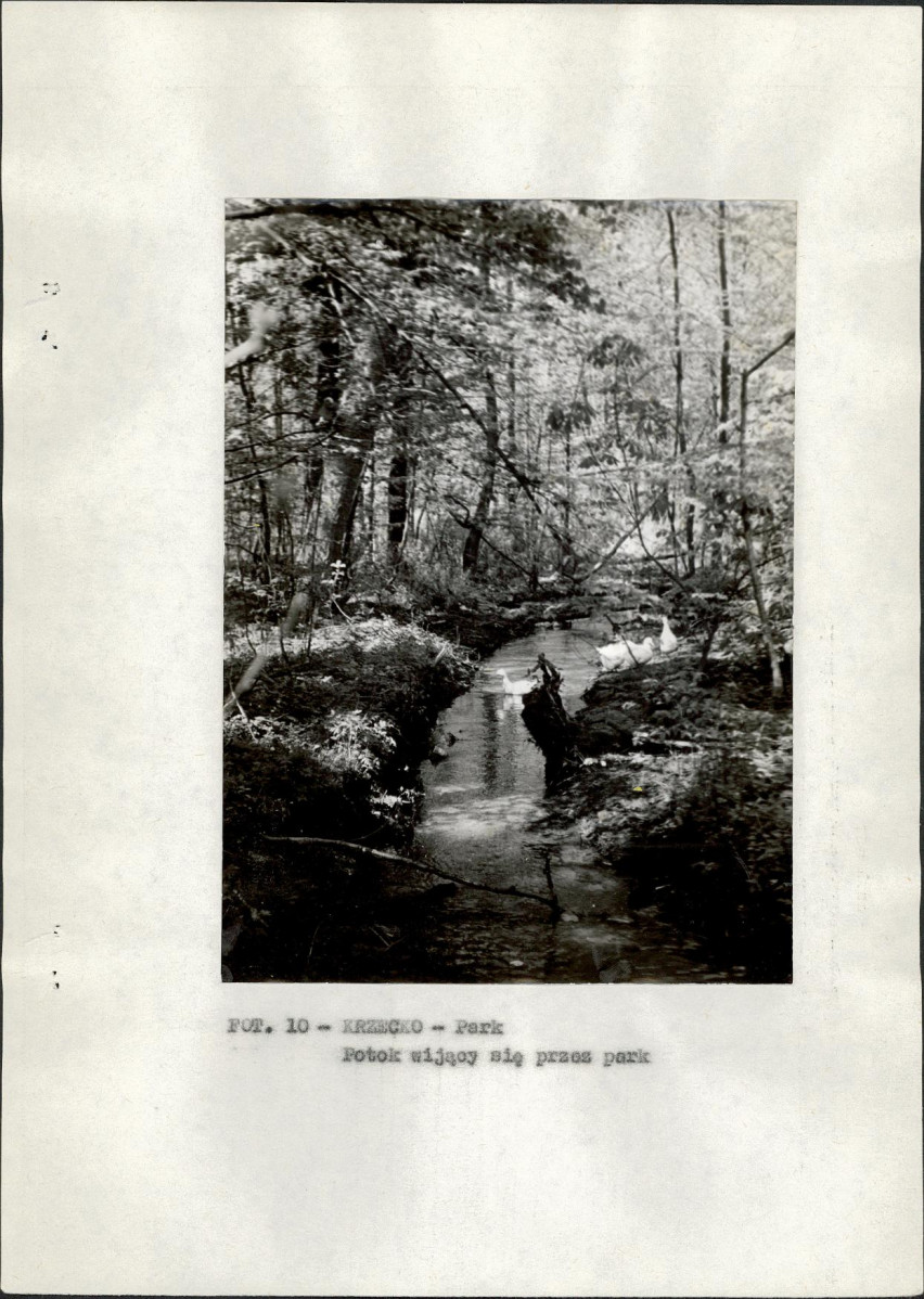 EP - Ewidencja parkowa, skan nr 20