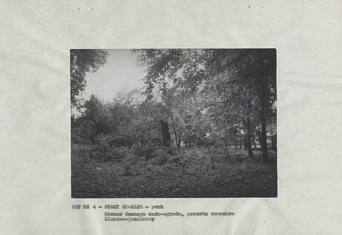 EP - Ewidencja parkowa, skan nr 17