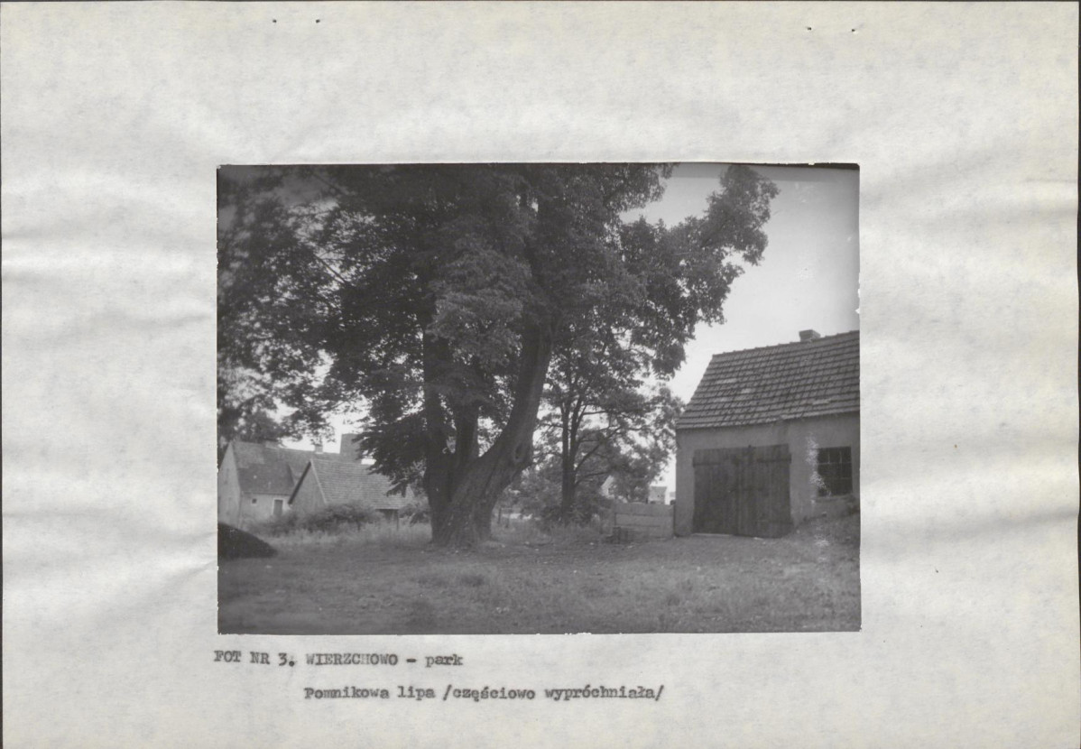 EP - Ewidencja parkowa, skan nr 15