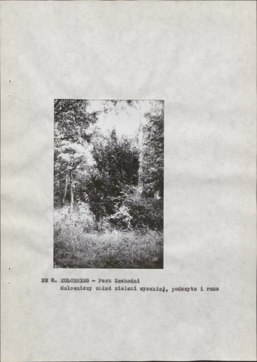 Ewidencja parkowa, skan nr 15