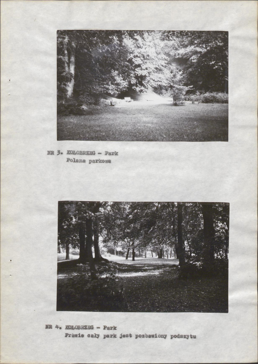 Ewidencja parkowa, skan nr 12