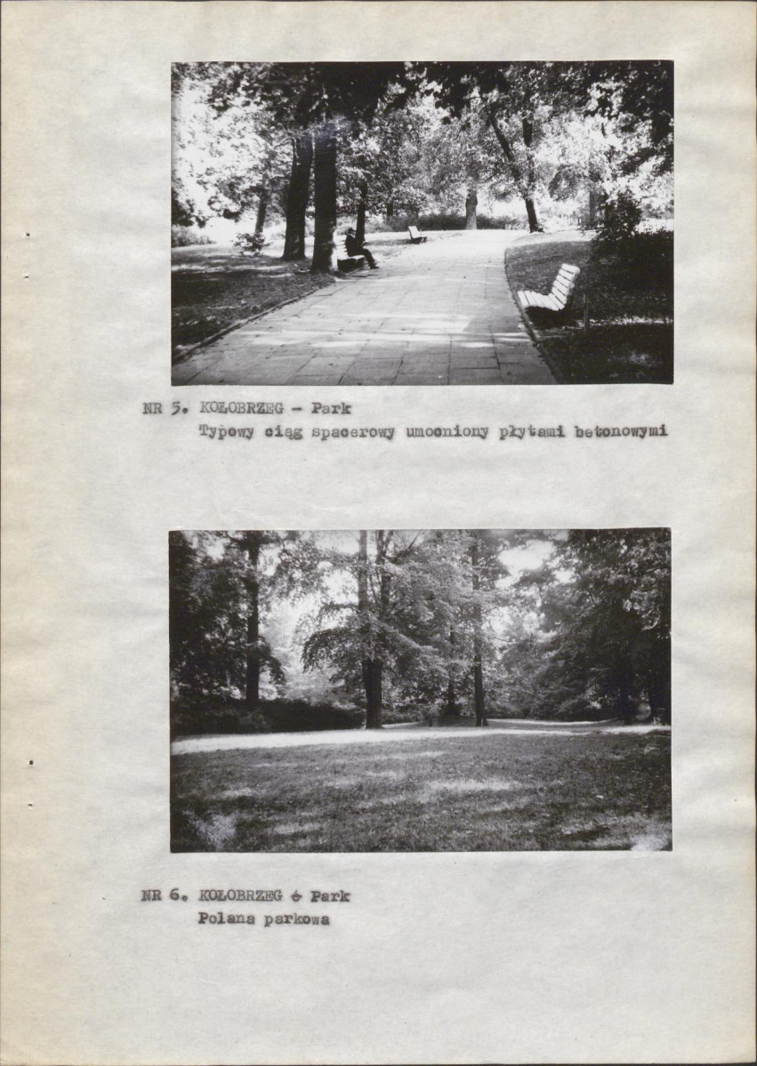 Ewidencja parkowa, skan nr 13