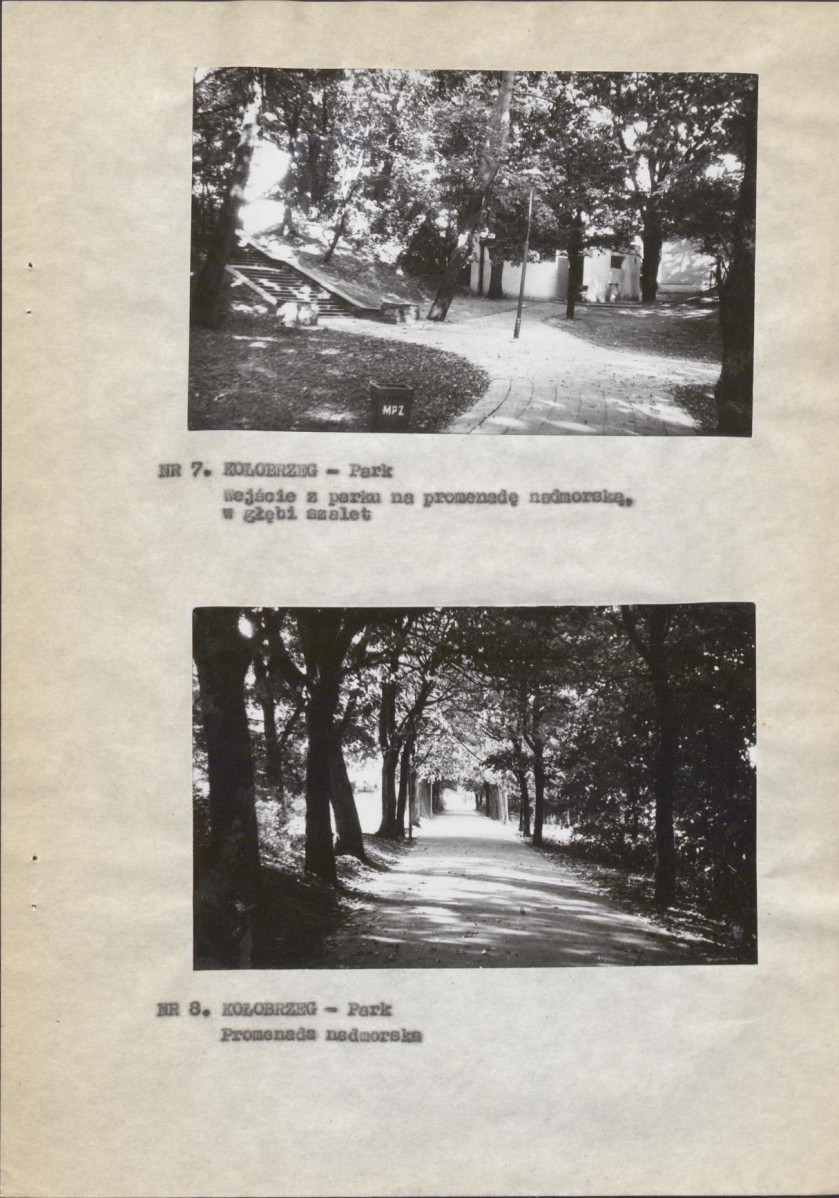 Ewidencja parkowa, skan nr 14