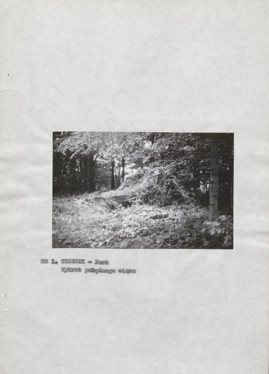 EP - Ewidencja parkowa, skan nr 13