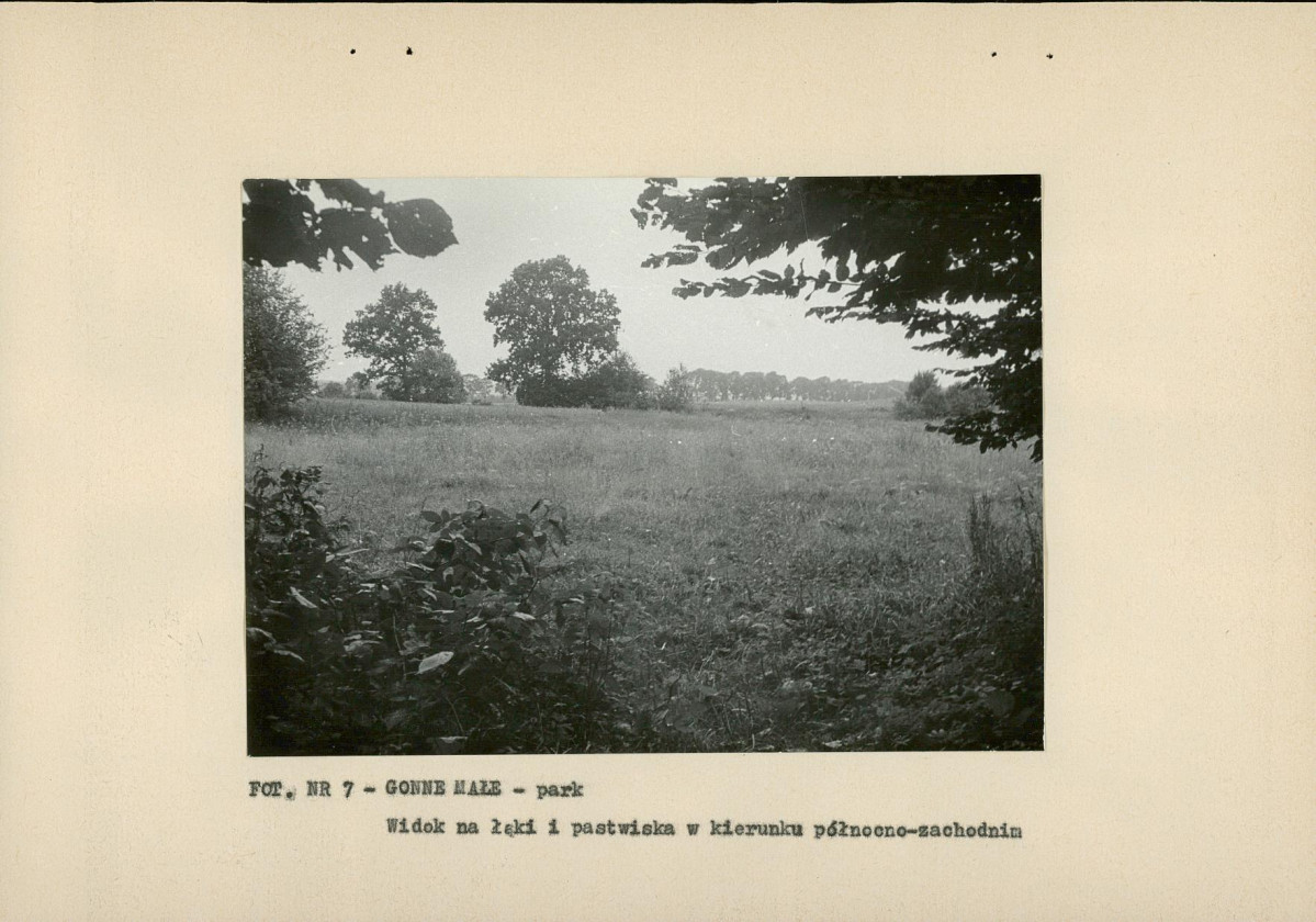 EP - Ewidencja parkowa, skan nr 20