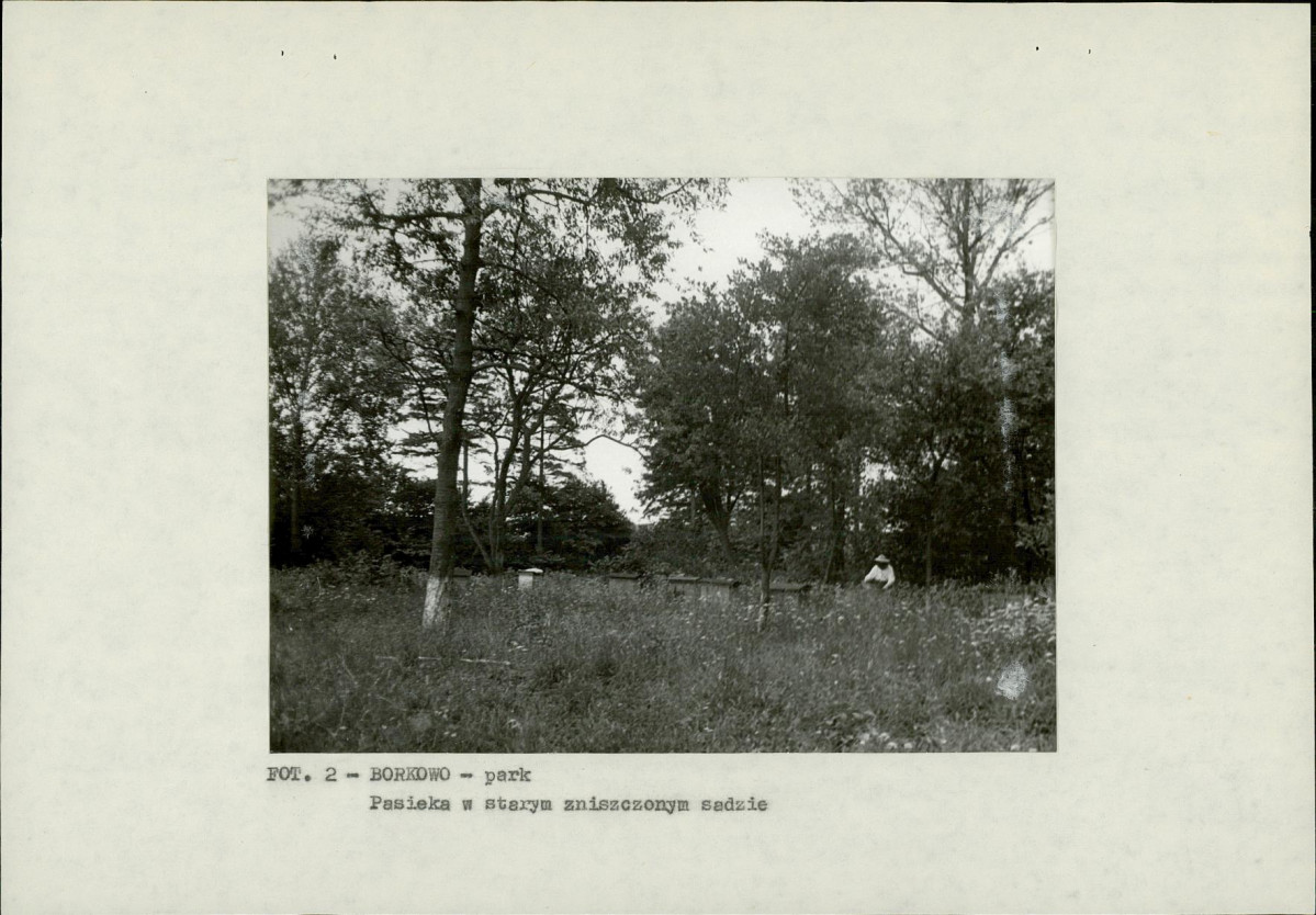 EP - Ewidencja parkowa, skan nr 12