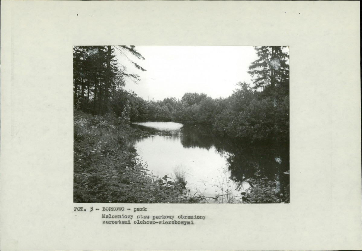 EP - Ewidencja parkowa, skan nr 13