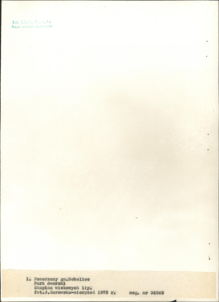 EP - Ewidencja parkowa, skan nr 16
