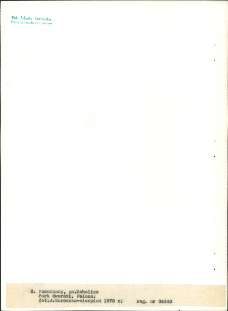 EP - Ewidencja parkowa, skan nr 18