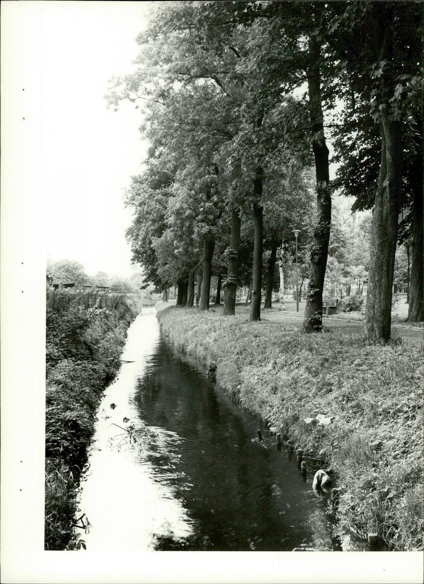 Ewidencja parkowa, skan nr 22